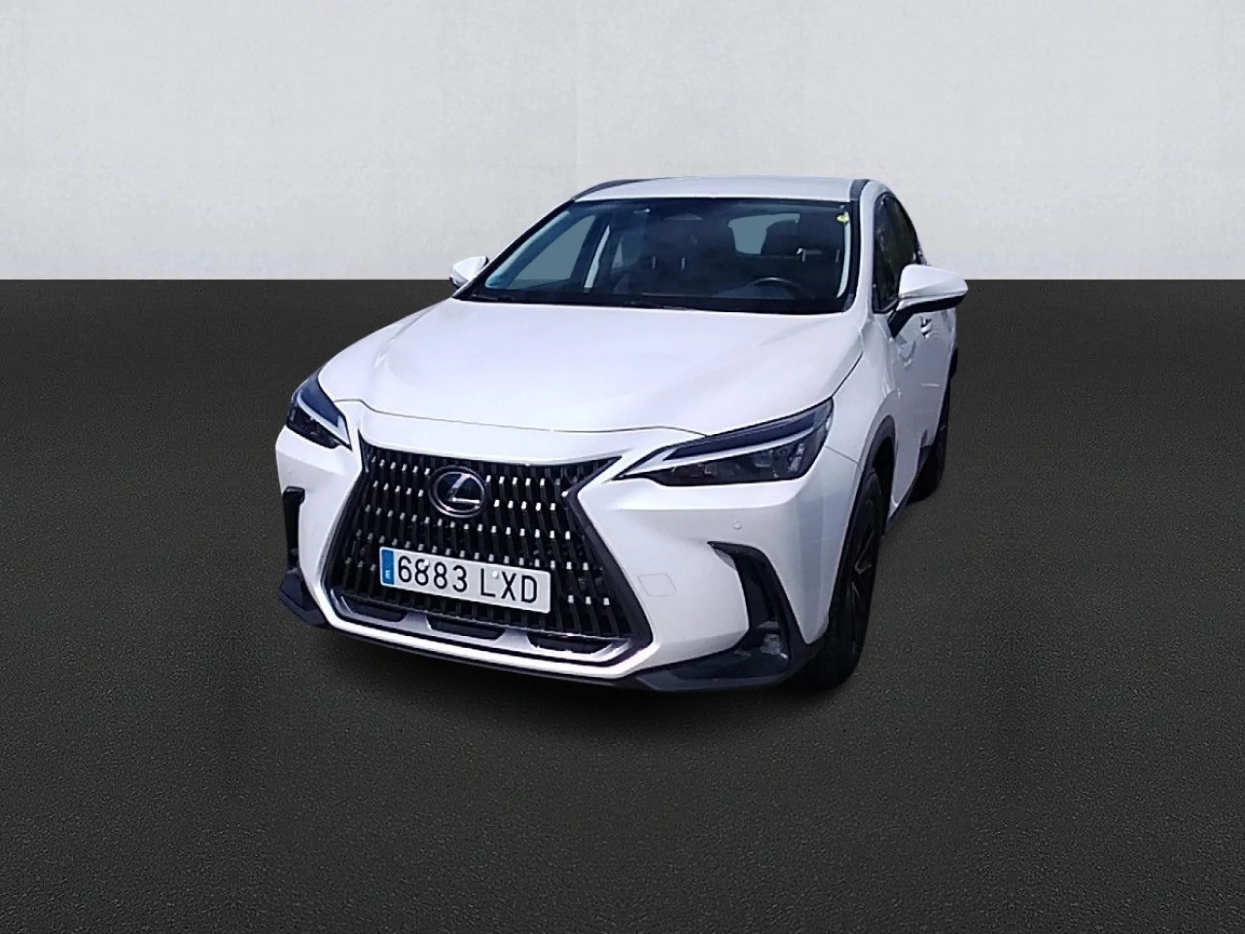 Lexus NX 350h Business City 4WD - Foto 1
