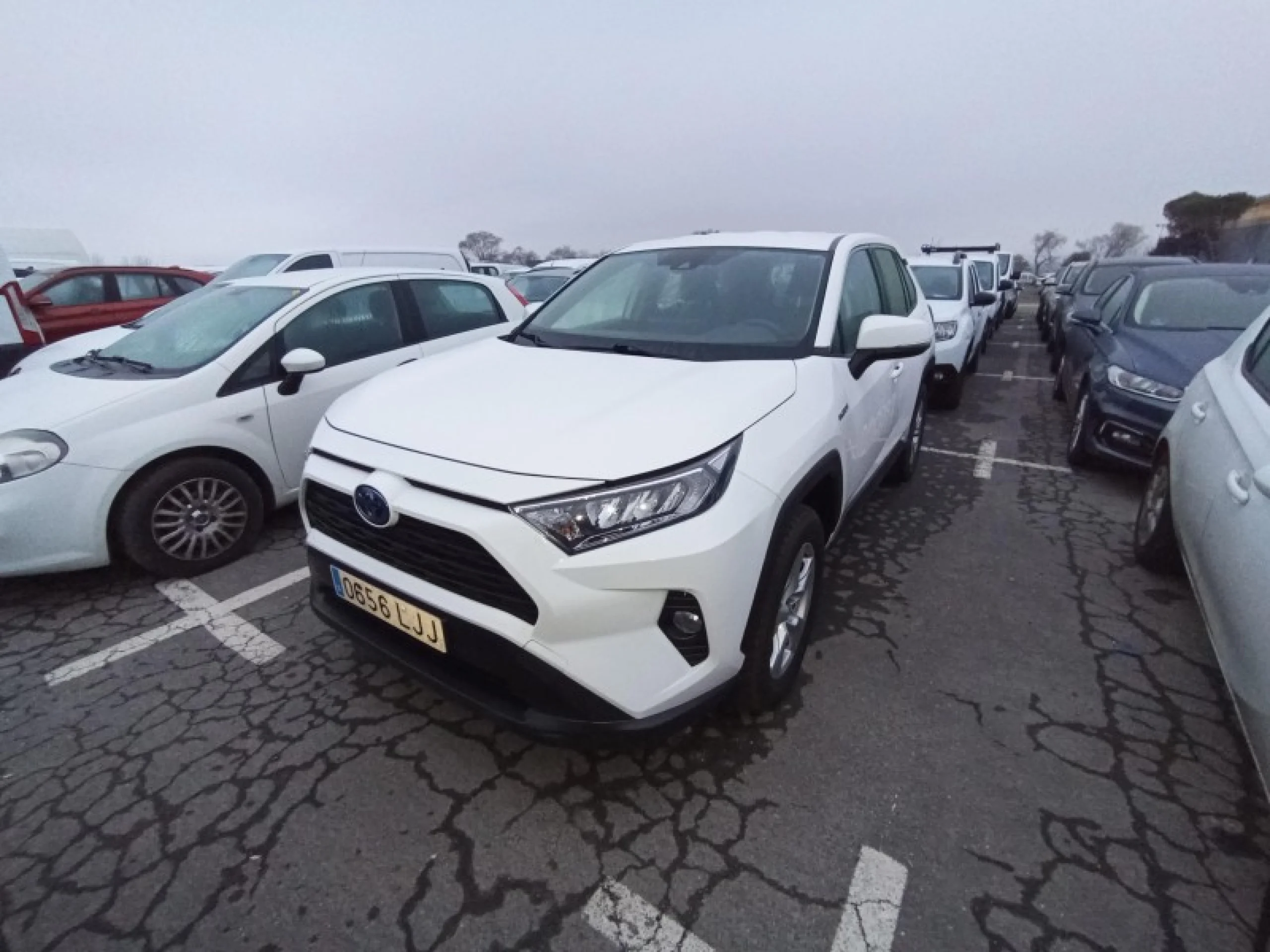 Toyota RAV4 2.5l 220H Business 4WD - Foto 1