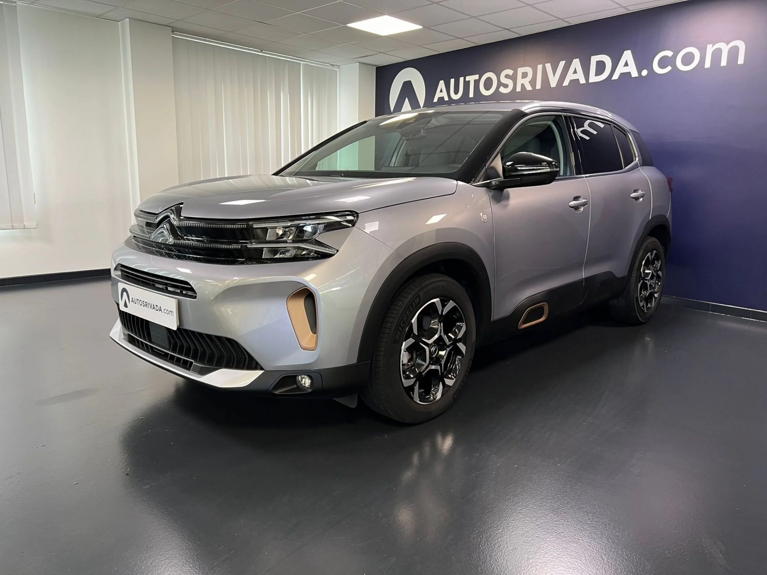 Citroen C5 Aircross BlueHdi 96kW (130CV) S&S EAT8 C Series - Foto 1