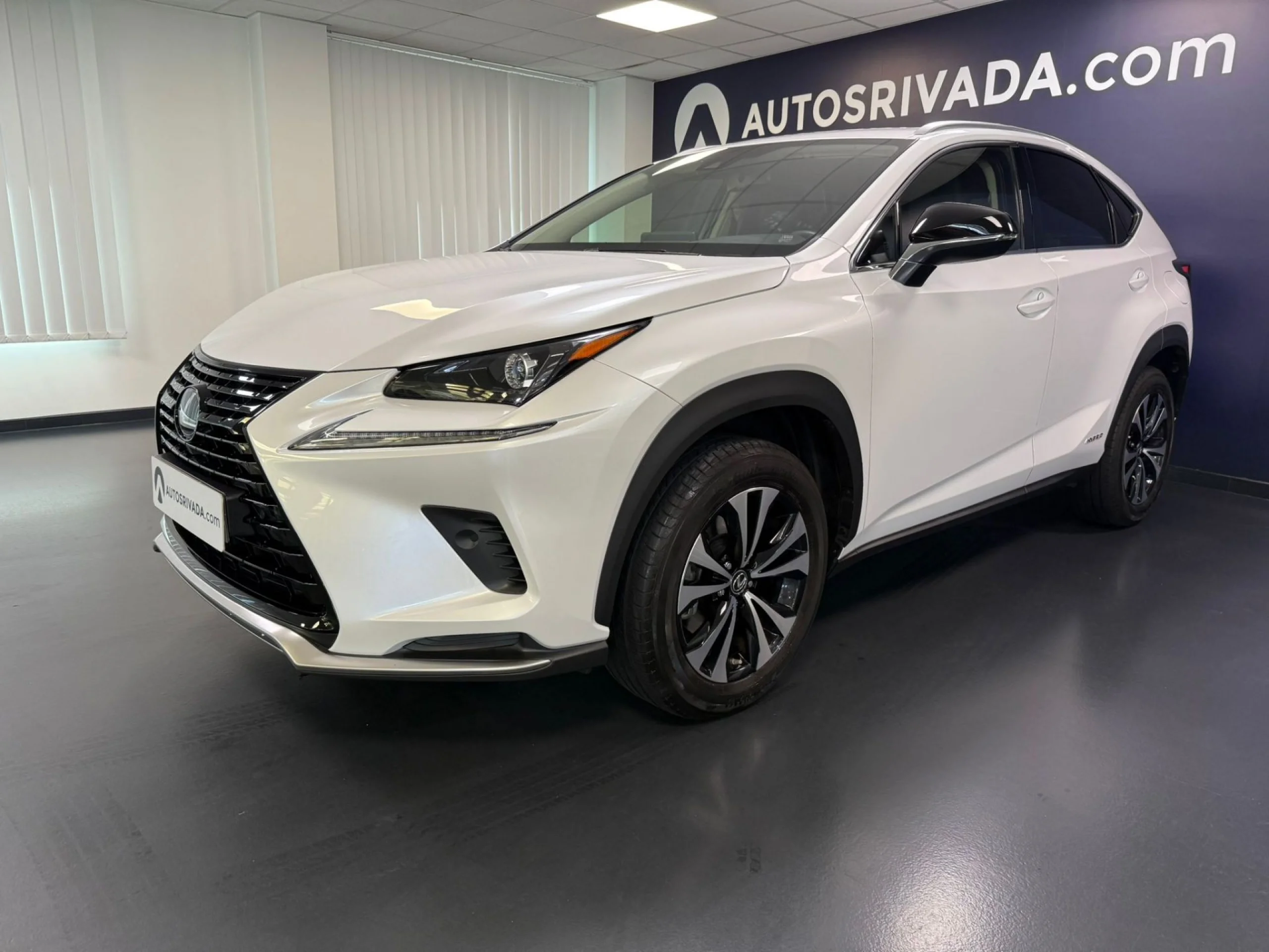 Lexus NX 2.5 300h Premium 2WD - Foto 1