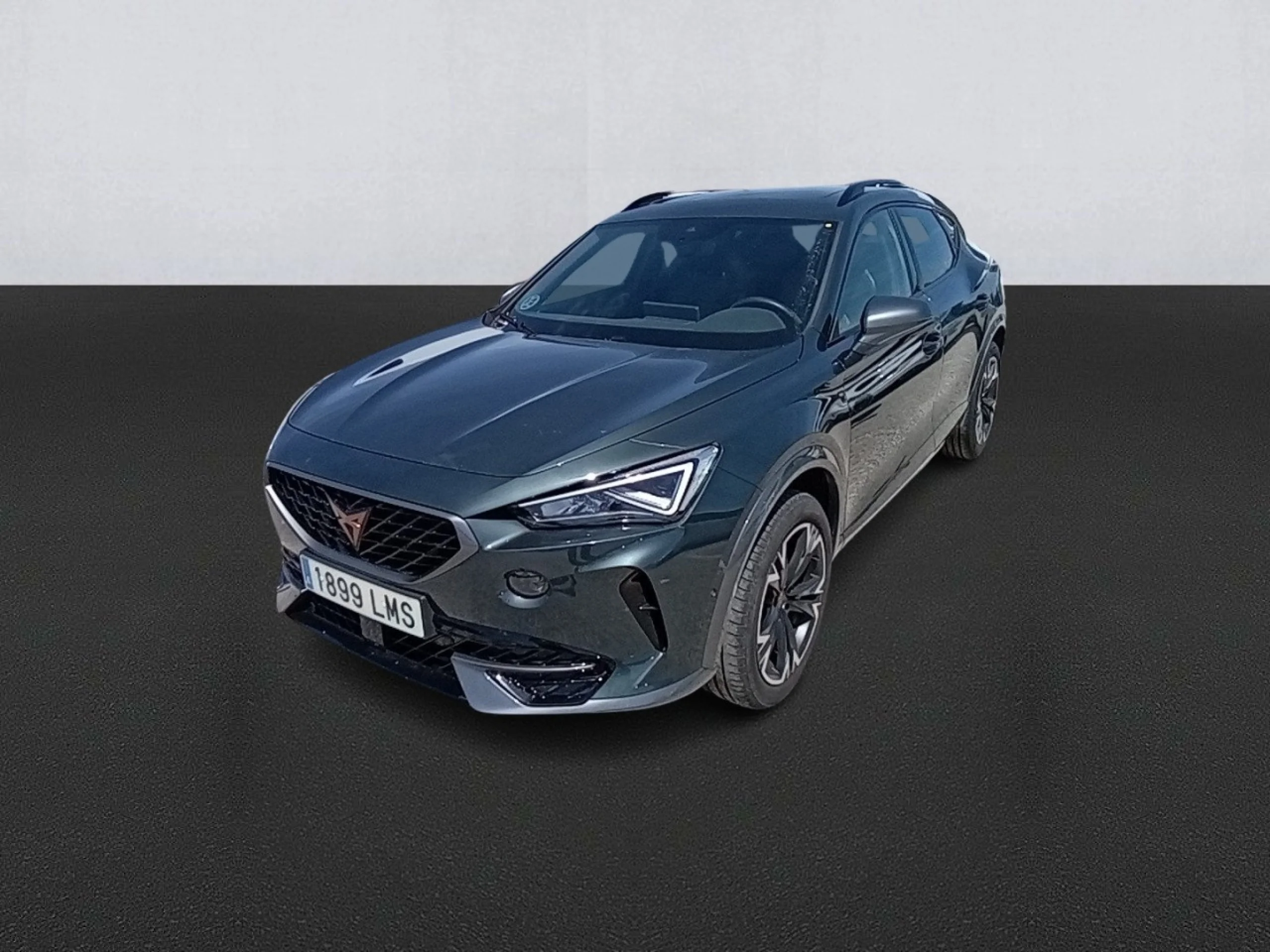 Cupra Formentor 1.5 TSI 110kW (150 CV) DSG - Foto 1