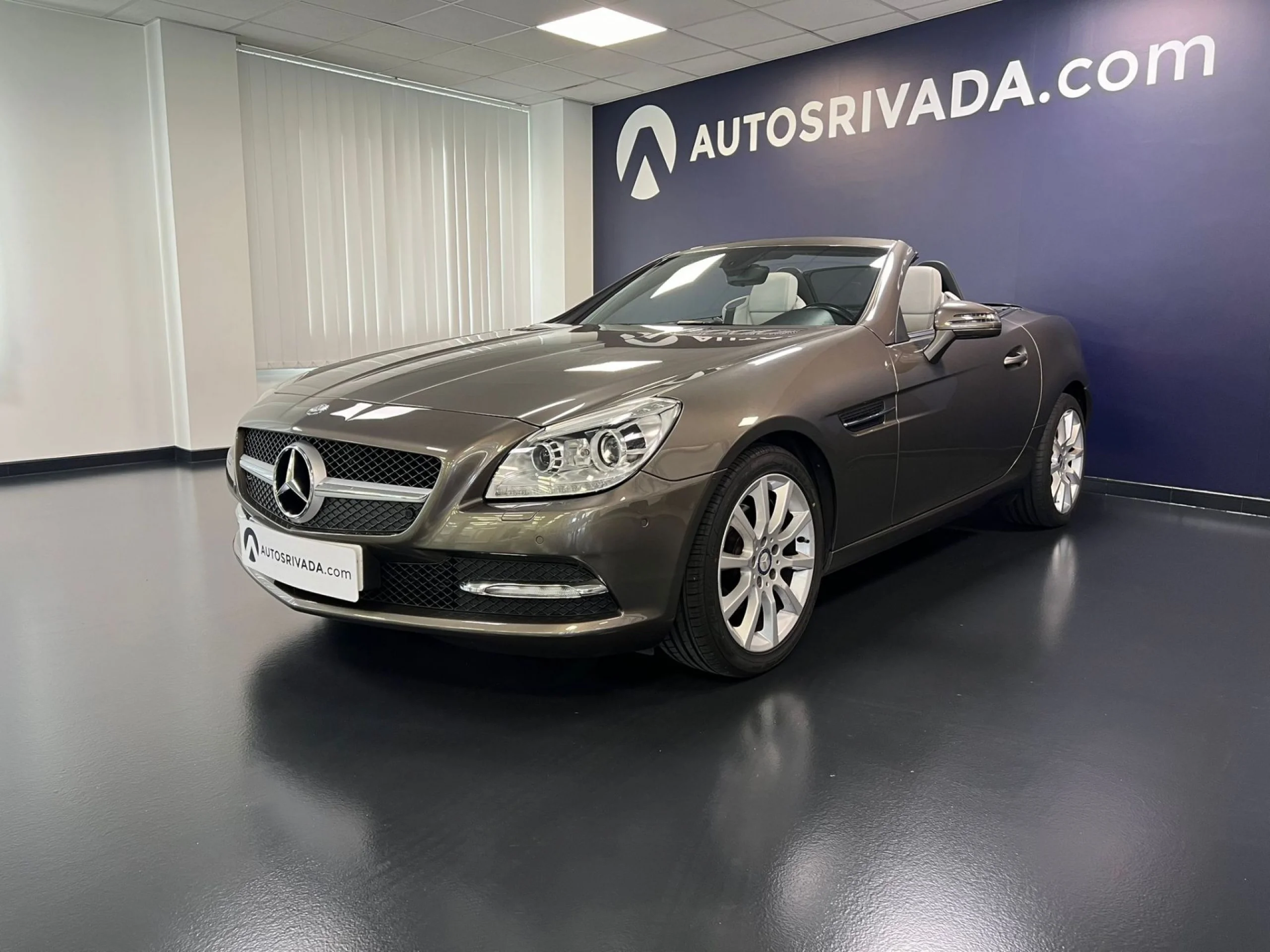 Mercedes Benz Clase SLK SLK 200 BlueEfficiency - Foto 1