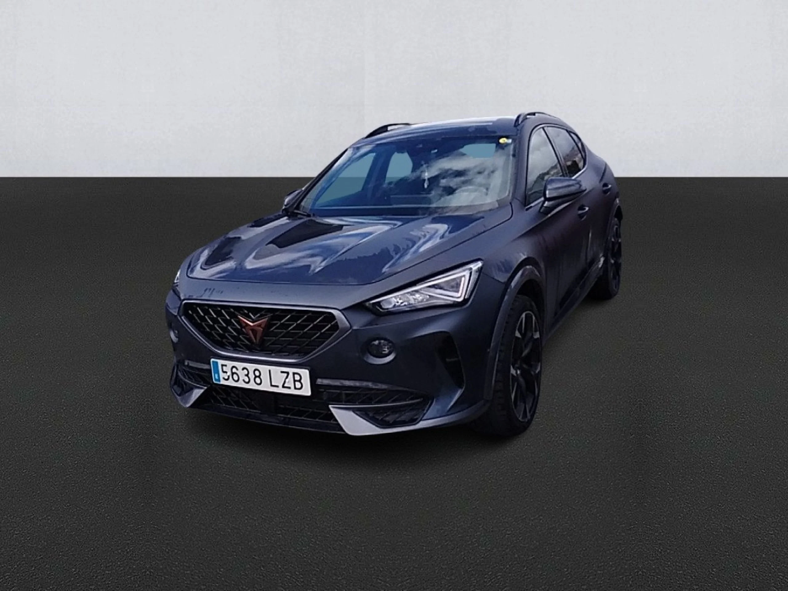 Cupra Formentor 2.0 TSI 228kW (310 CV) VZ 4Drive DSG - Foto 1